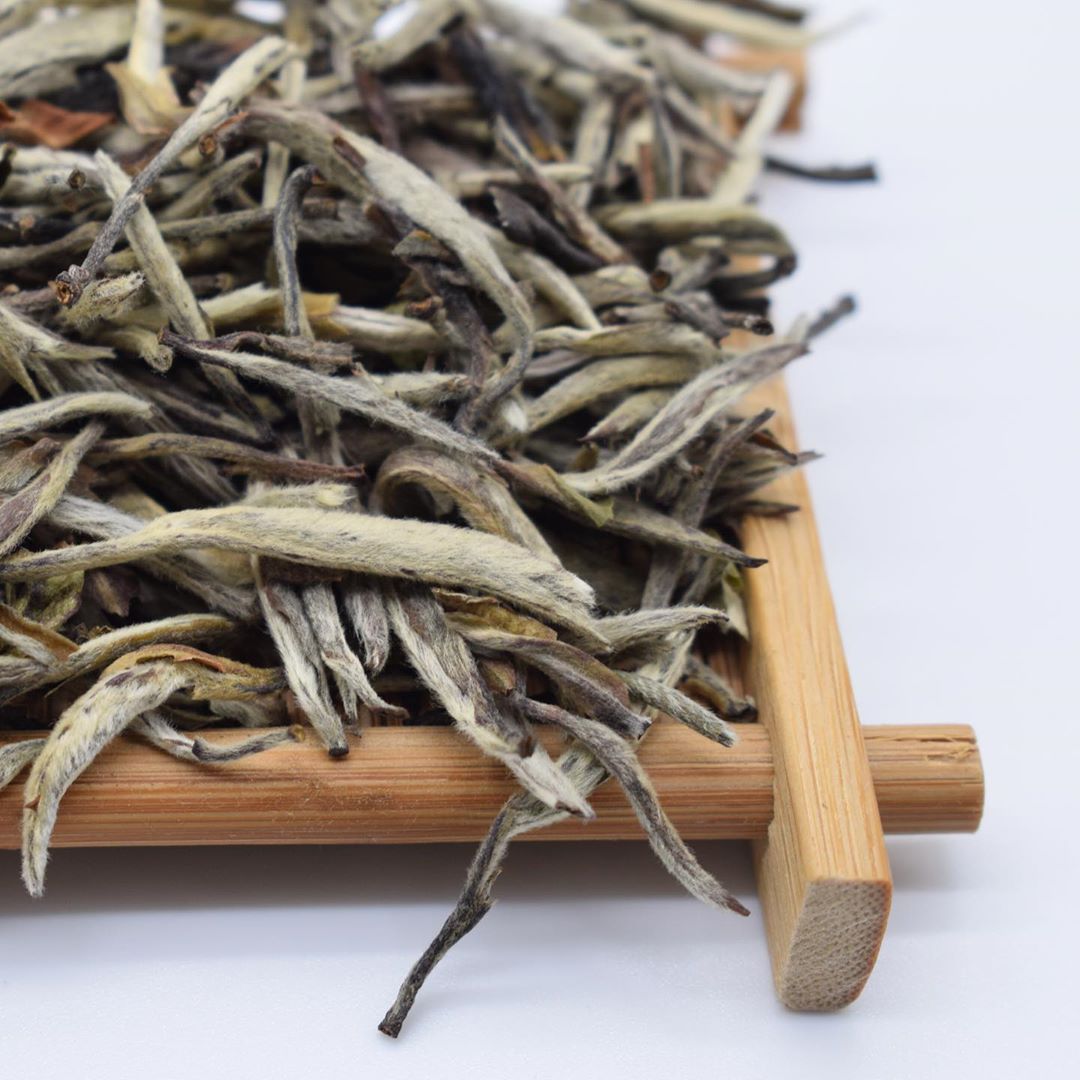 Is White Tea Good for Weight Loss? » Go Fitness PRO gofitnesspro