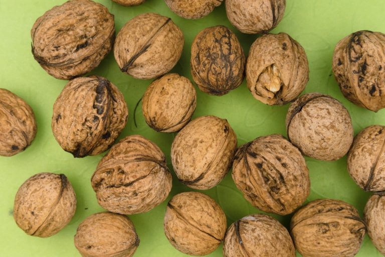Walnut Nutrition Facts Everything You Need To about this Fruit! Go
